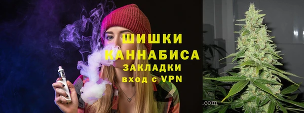 крисы Алзамай