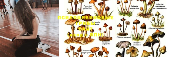 кокаин премиум Алексин
