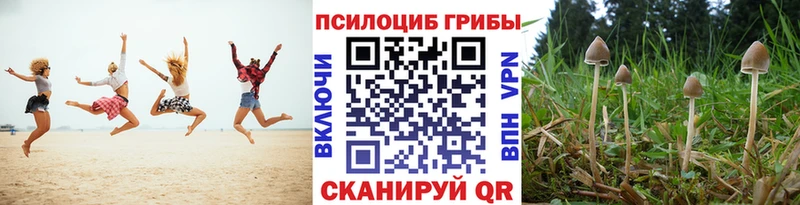 Галлюциногенные грибы GOLDEN TEACHER  Тосно 